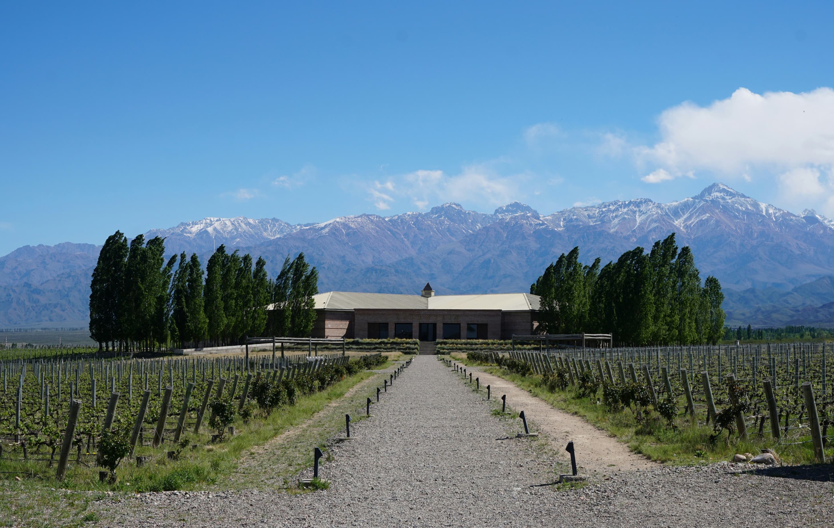 Argentina wine region