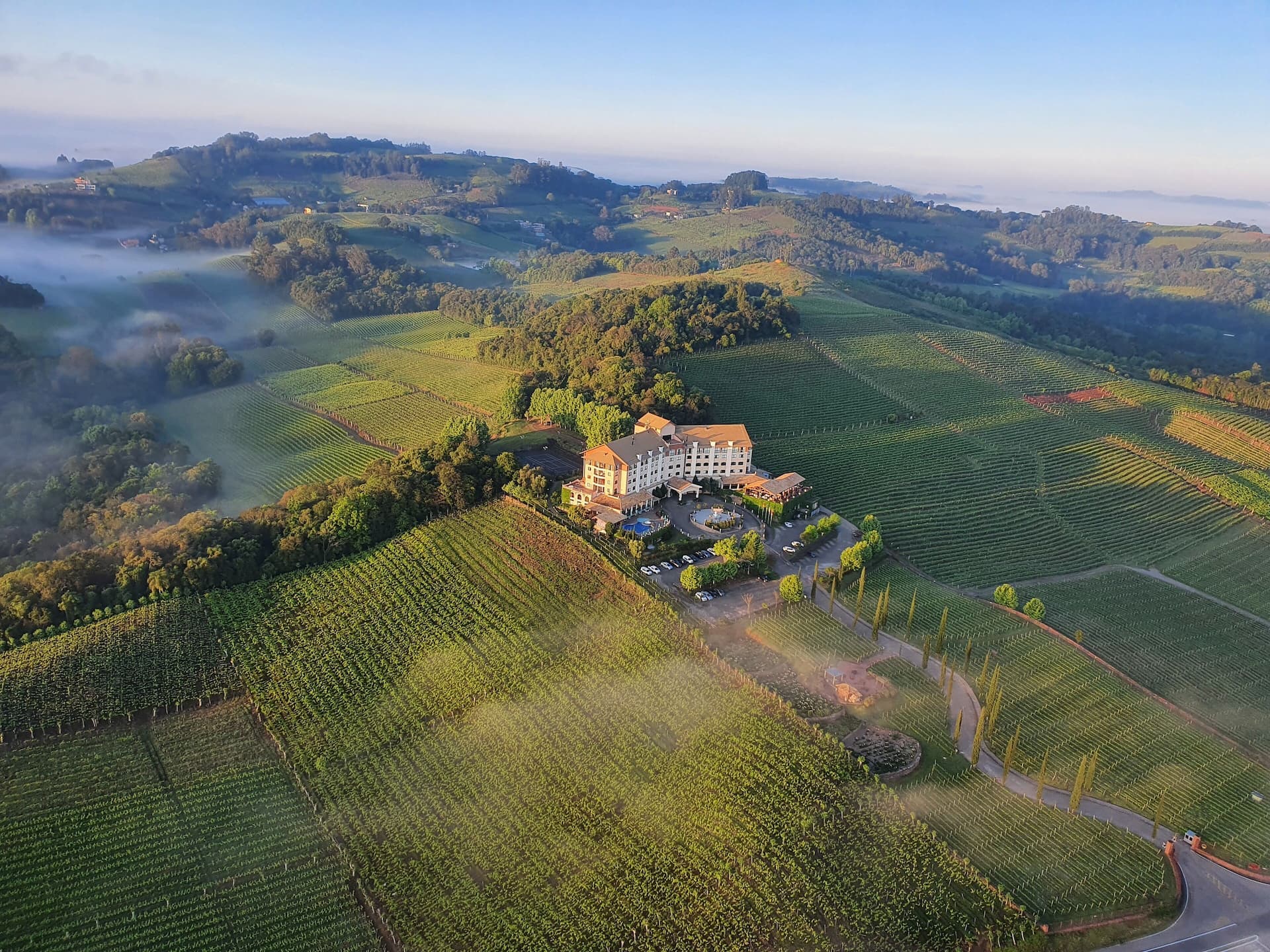Brazil vineyards