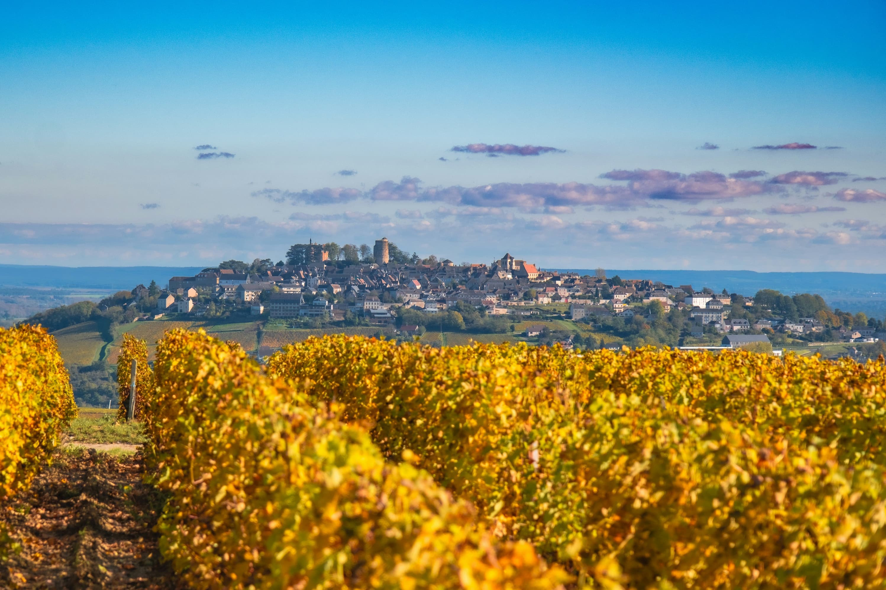France wine region