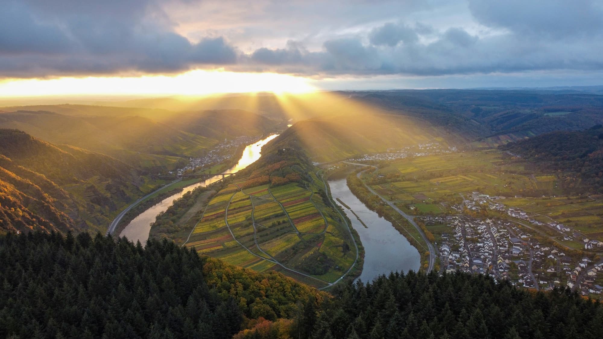 Germany vineyards