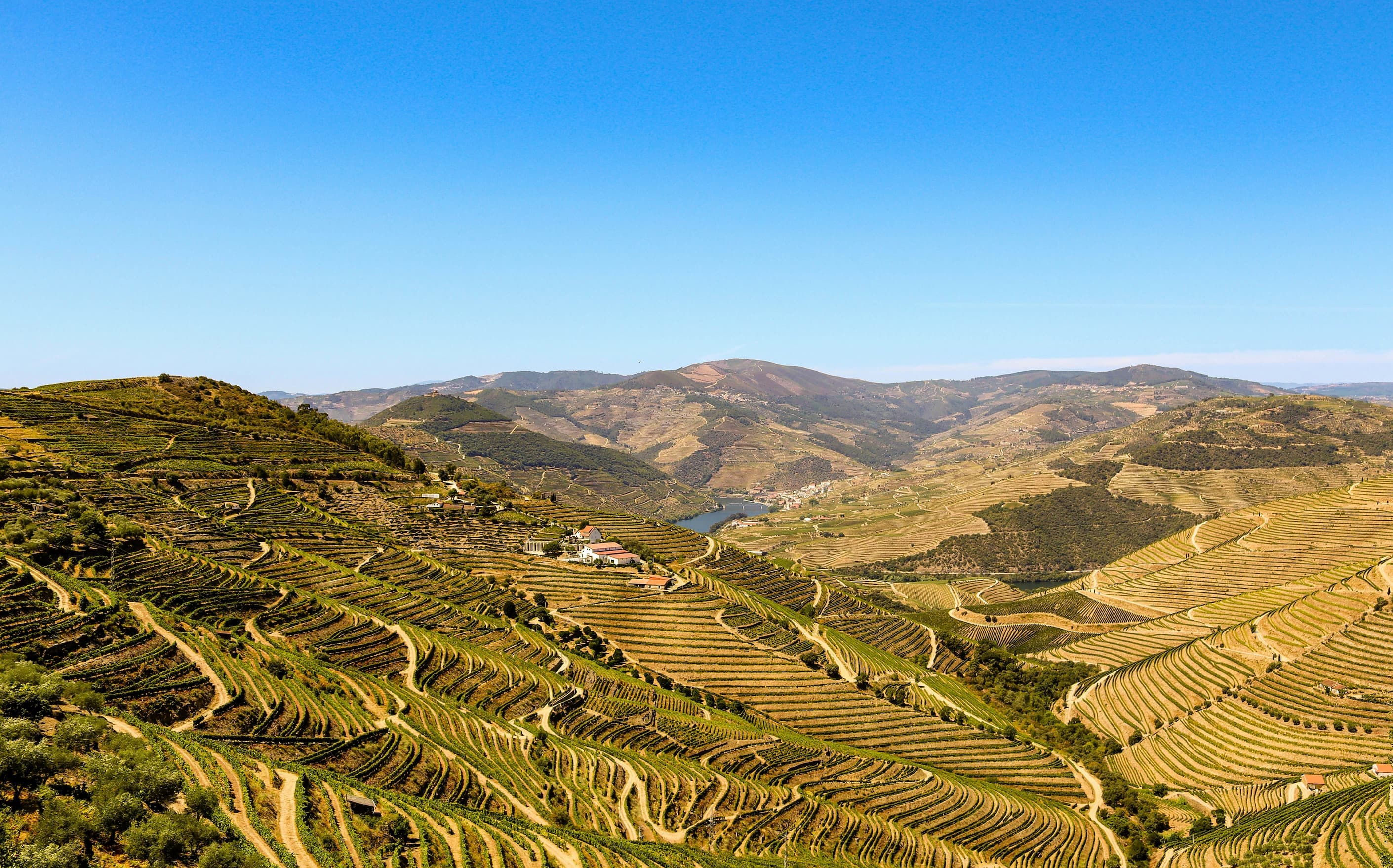 Portugal wine region