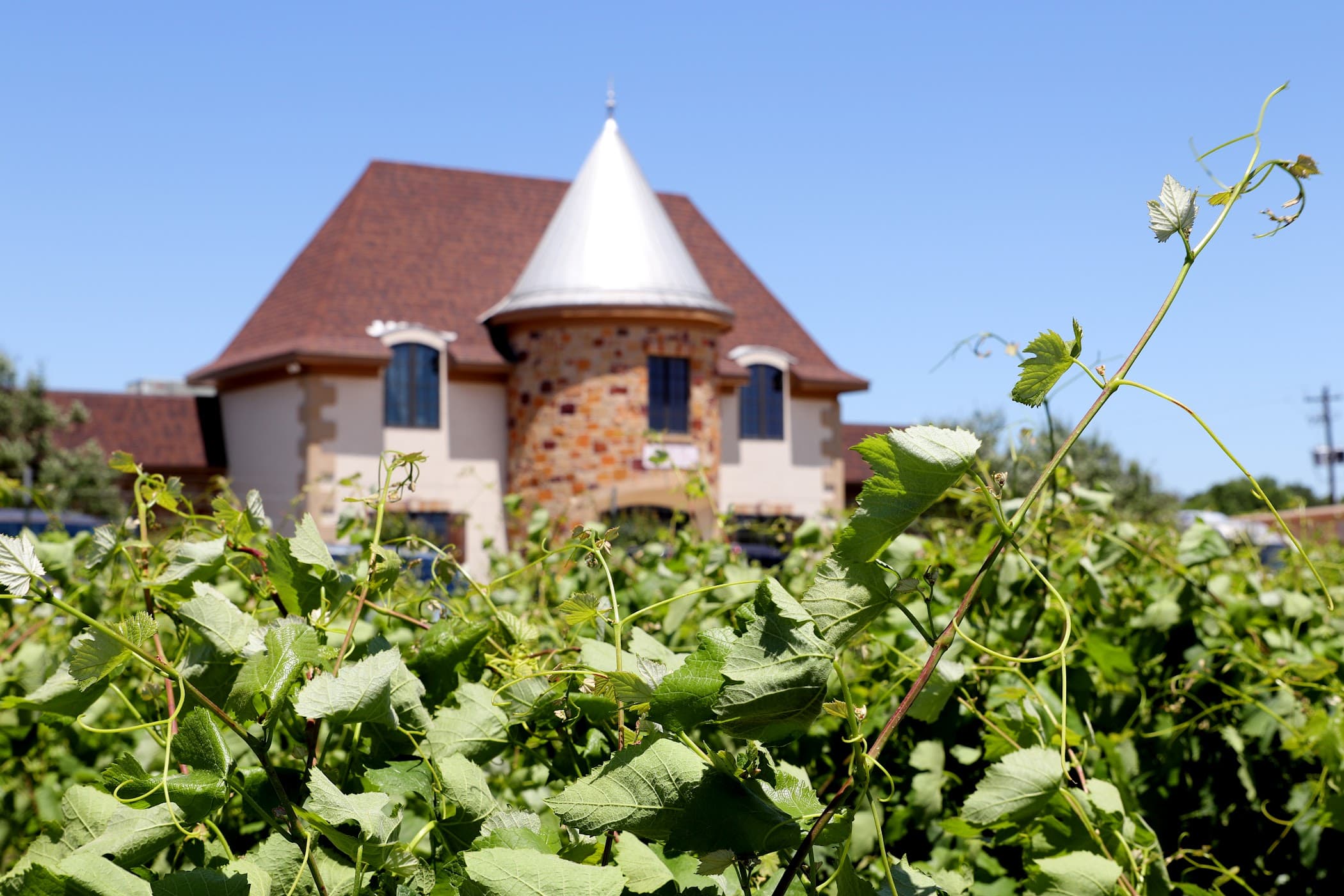 The Manor Haus at Messina Hof Hill Country in Texas Hill Country