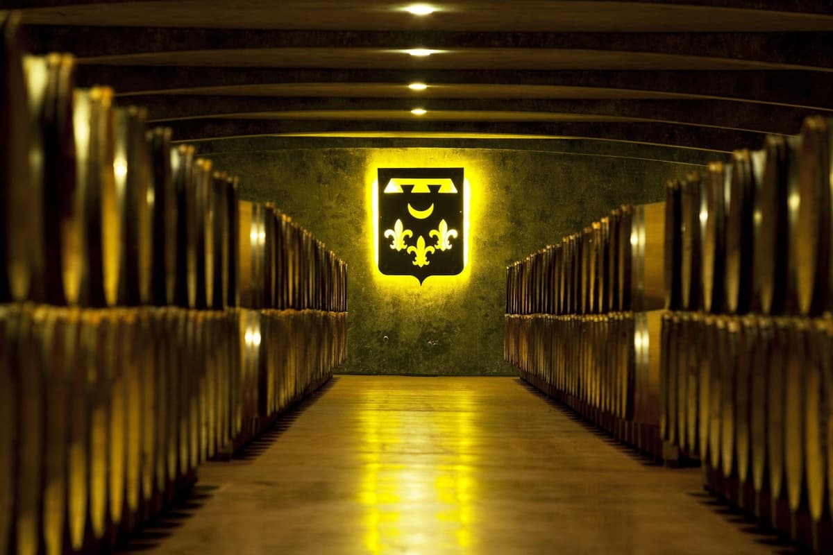 Larga bodega subterránea de botellas en rima, iluminada hacia un escudo al fondo