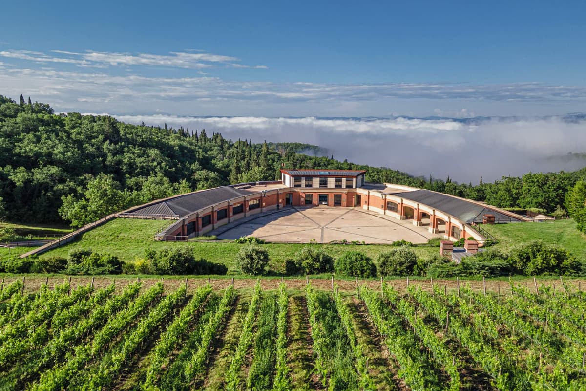 Bodega encajada en la ladera sobre hileras de viñedo en las colinas del Chianti Classico, con el valle cubierto de nubes al fondo