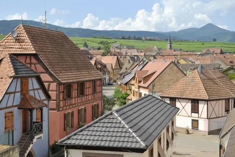 Domaine Bott-geyl in Alsace